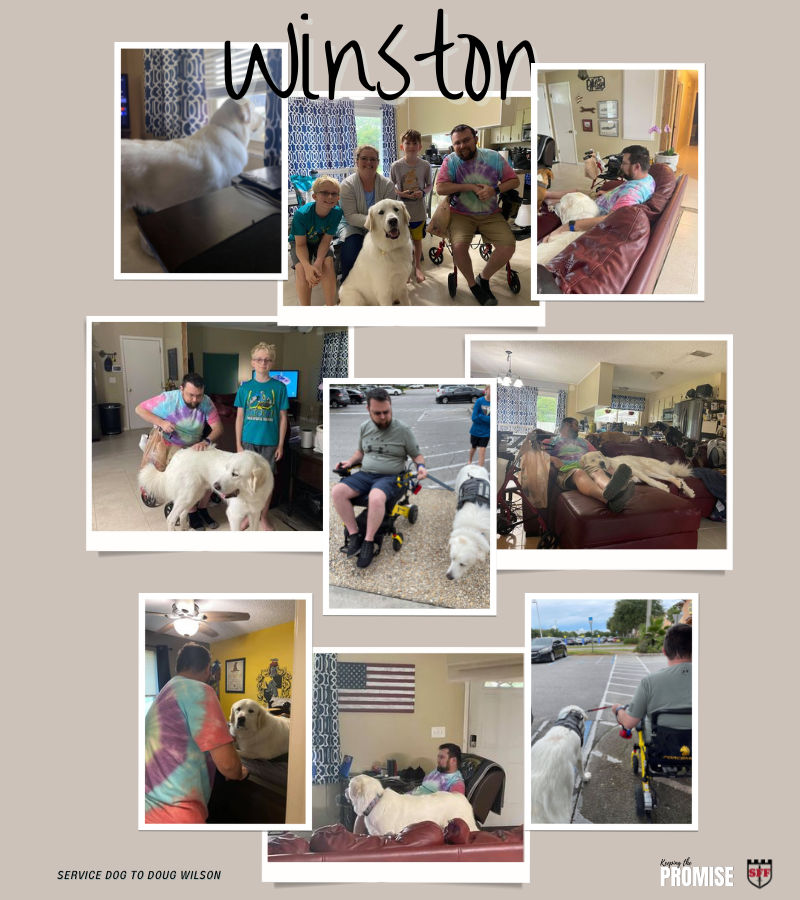 winston5